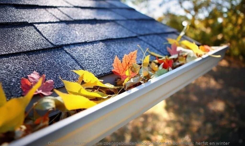 Seizoensgebonden rioolproblemen Boxmeer: herfst en winter